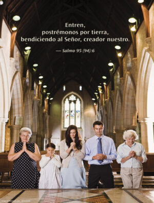 Twenty-seventh Sunday of Ordinary Time D Cover - Spanish