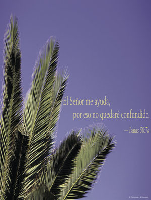 Palm Sunday Cover - Spanish