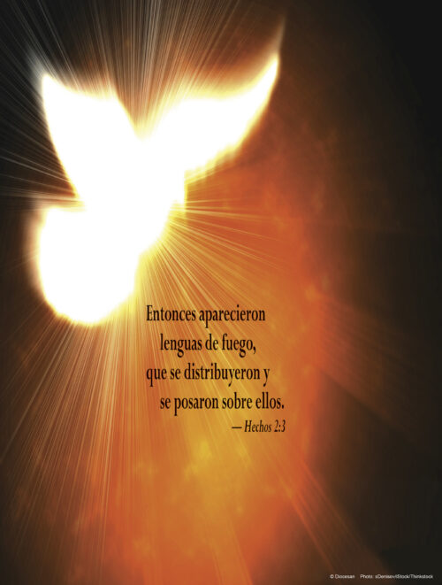 Pentecost D Cover - English