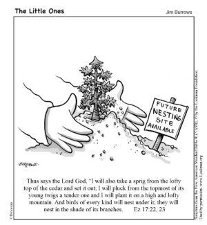 The Little Ones - 11th Sunday