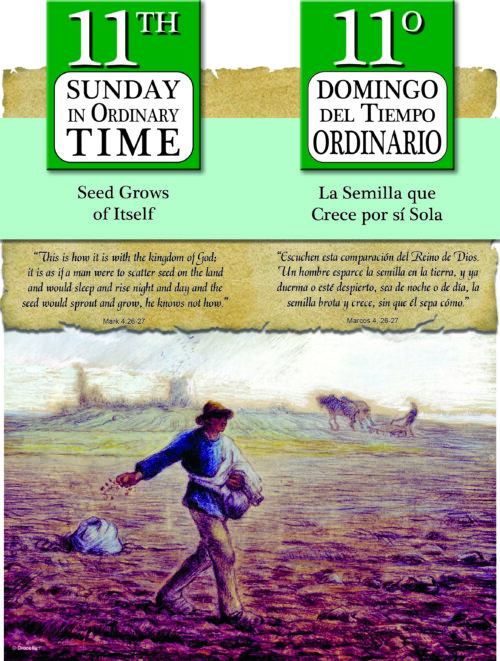 Ordinary Time - Week 11 - Parchment - Bilingual