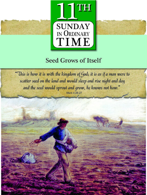 Ordinary Time - Week 11 - Parchment