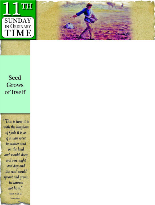 Ordinary Time - Week 11 - Parchment - Wrapper