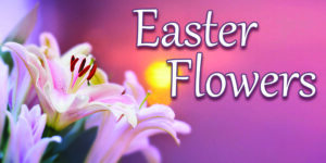 Easter Sunday 46