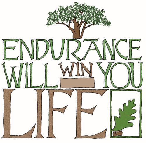 Scripture Quote 158