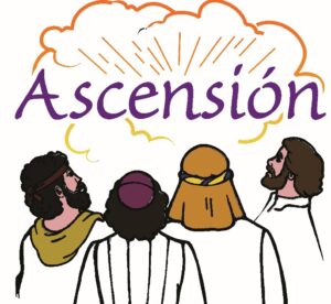 Ascension 17