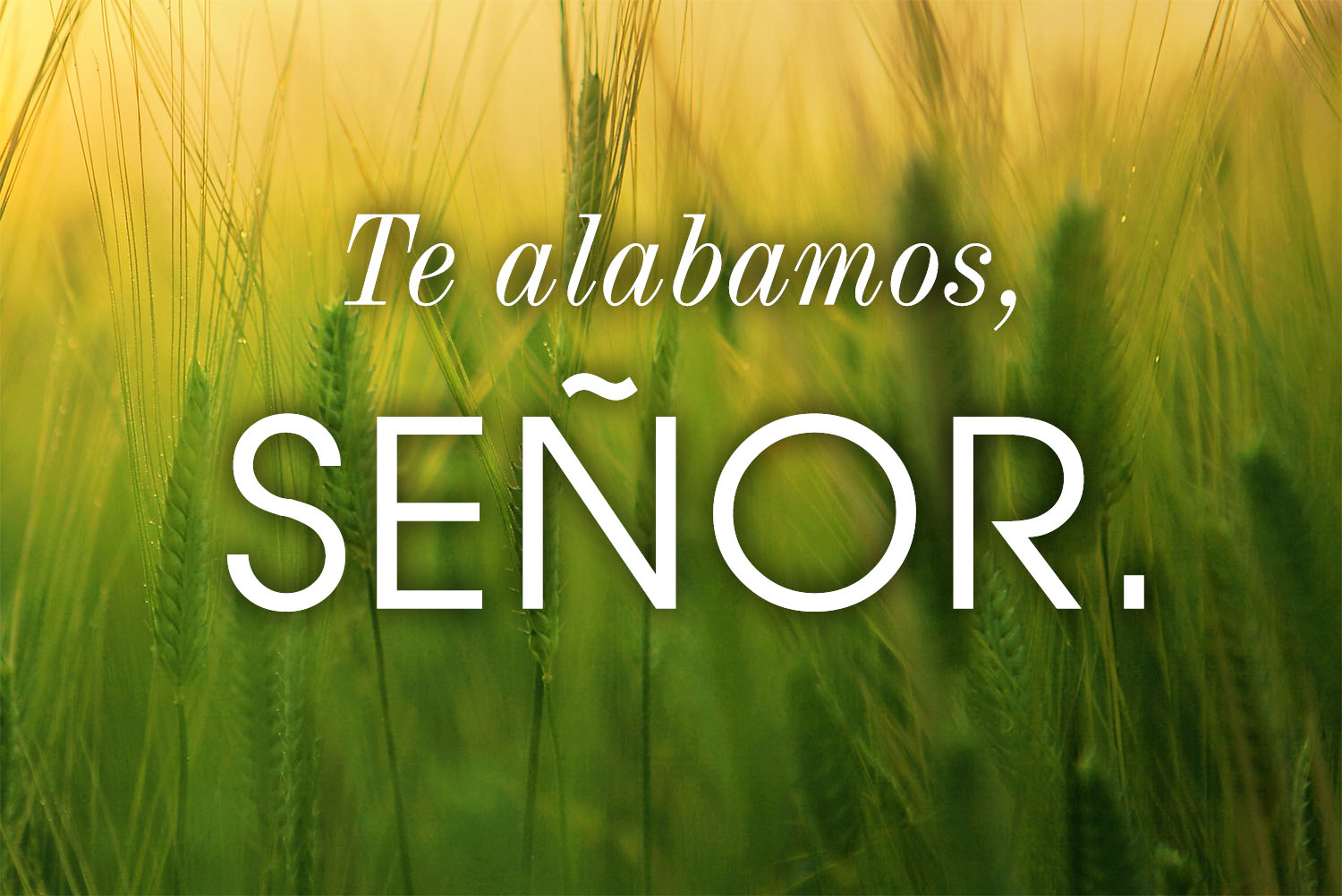 Baptism of the Lord - Response - Spanish