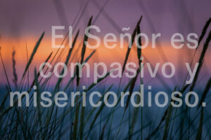 Lent - Week 3 - Response - Spanish