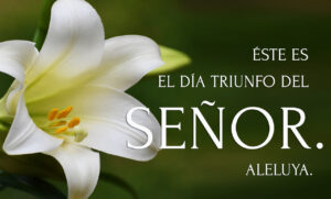 Easter - Sunday - Response - Spanish