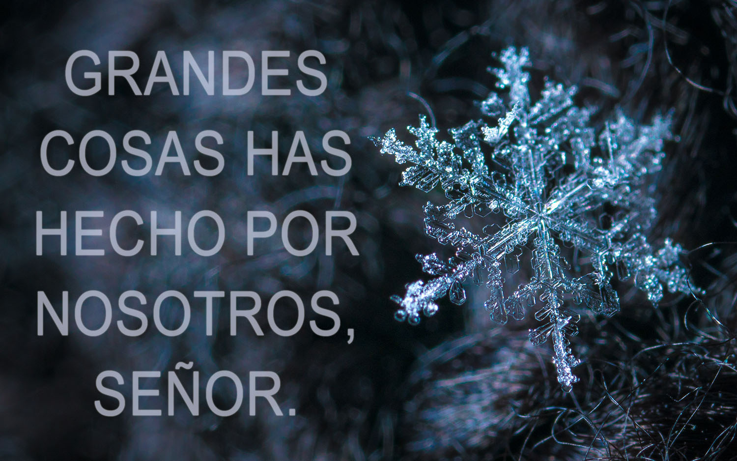 Advent - Week 2 - Response - Spanish - V2