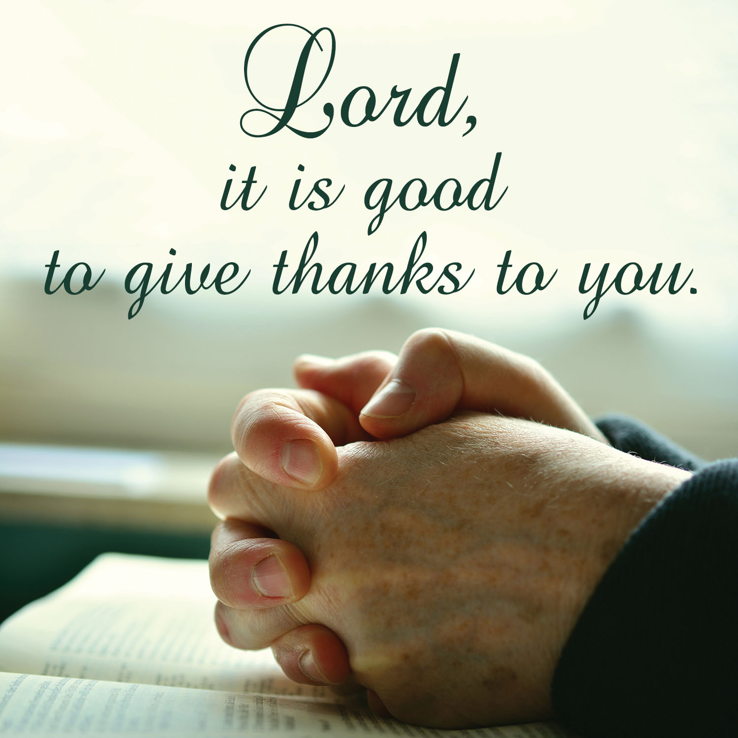 Ordinary Time - Week 8 - Response - English - V2 1 Ordinary Time - Week 8 - Response - English - V2