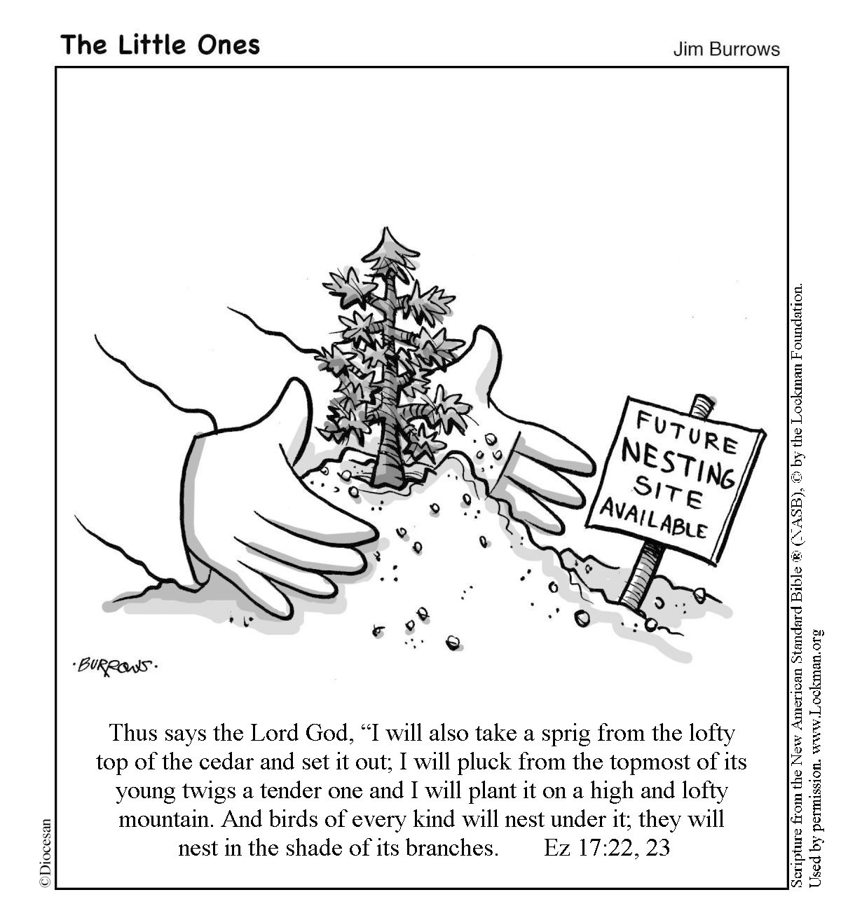 The Little Ones - 11th Sunday | B