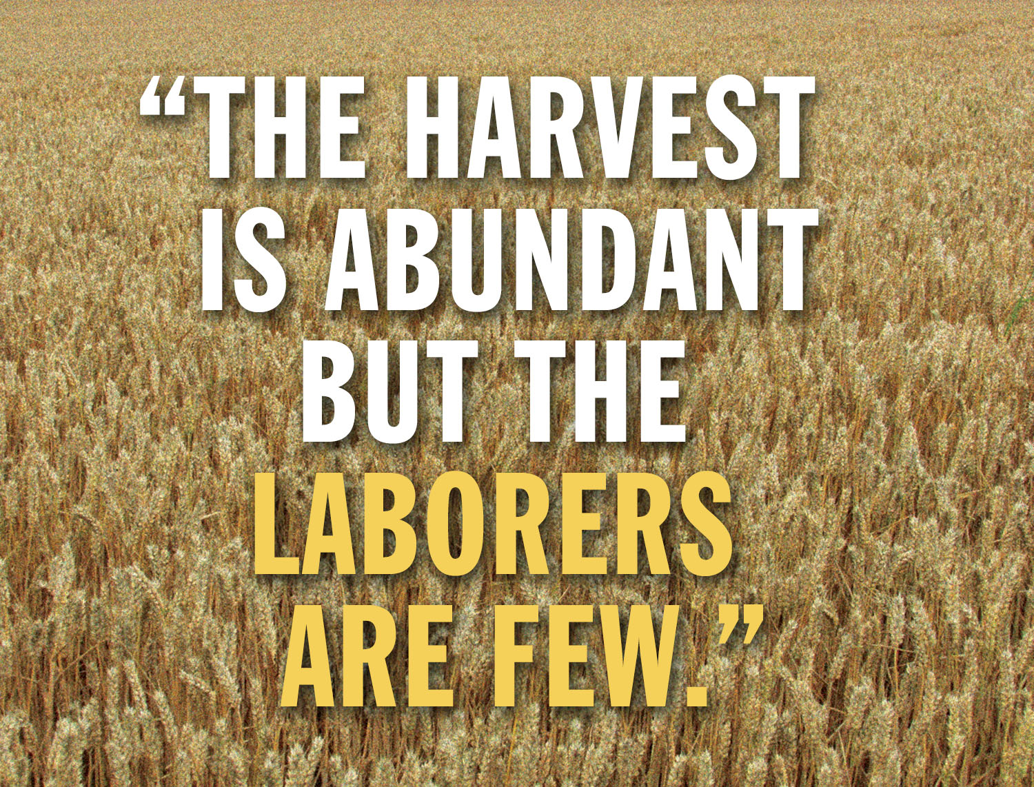 Ordinary Time - Week 14 - Gospel - English - V2 1 Ordinary Time - Week 14 - Gospel - English - V2