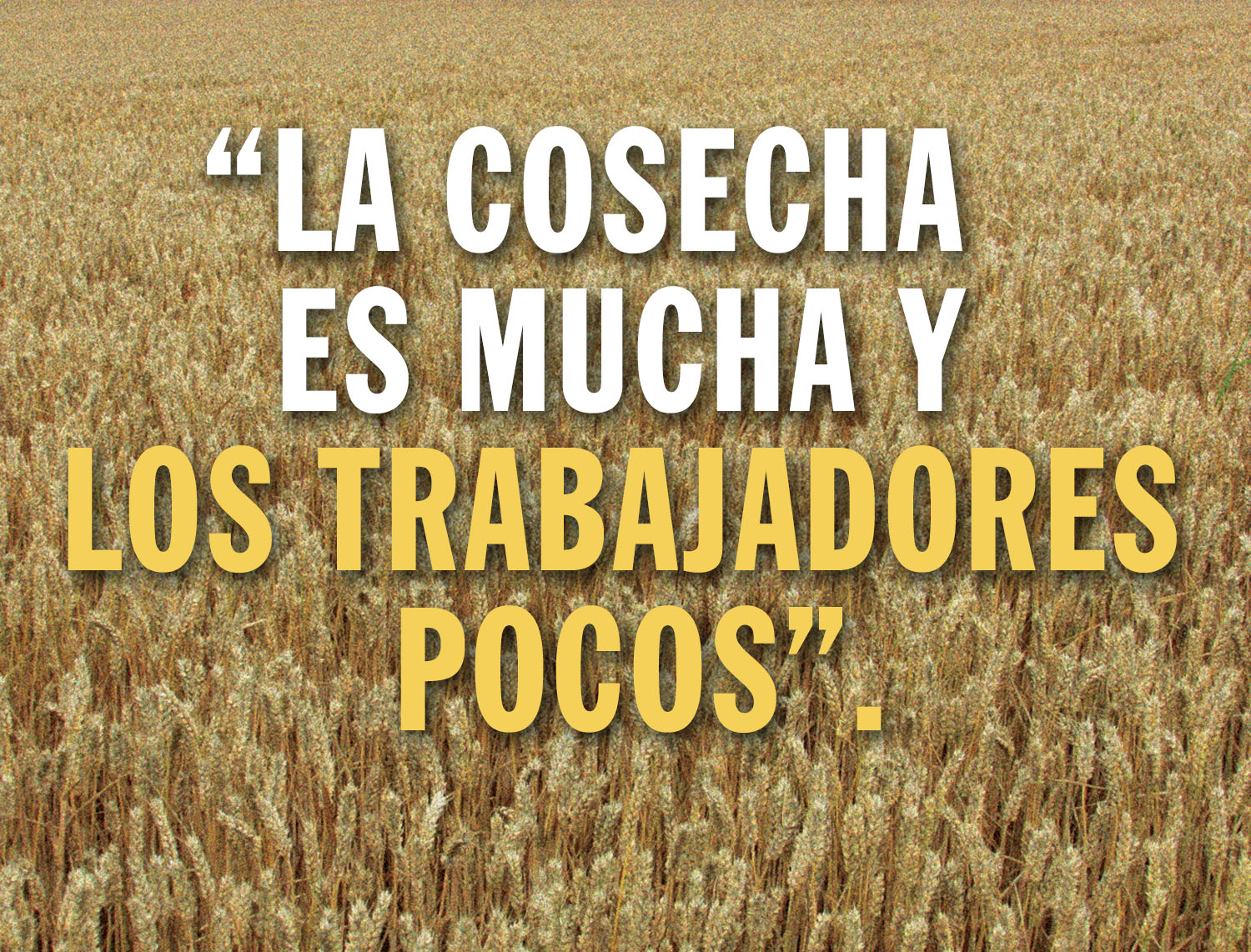 Ordinary Time - Week 14 - Gospel - Spanish - V2 1 Ordinary Time - Week 14 - Gospel - Spanish - V2