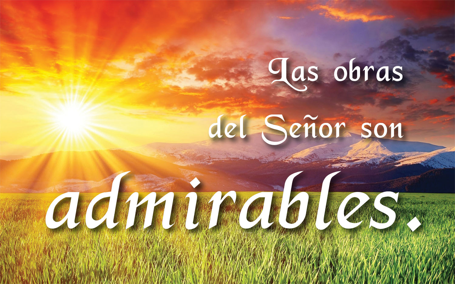 Ordinary Time - Week 14 - Response - Spanish - V2 1 Ordinary Time - Week 14 - Response - Spanish - V2