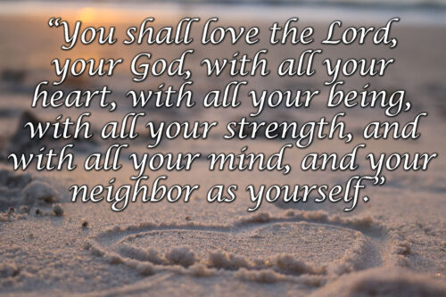 Ordinary Time - Week 15 - Gospel - English - V2