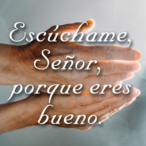 Ordinary Time - Week 15 - Response - Spanish - V2