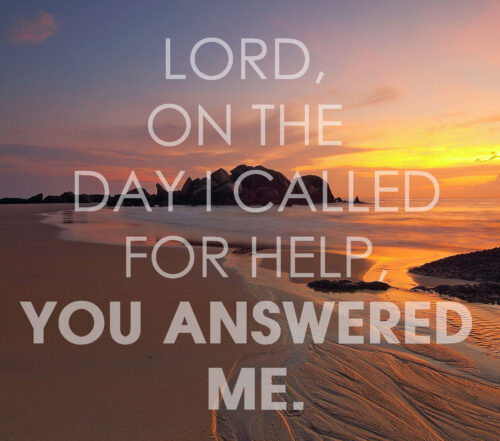 Ordinary Time - Week 17 - Response - English - V2