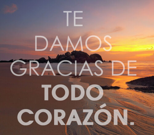 Ordinary Time - Week 17 - Response - Spanish - V2