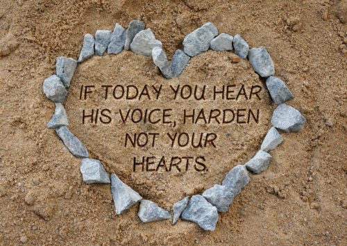 Ordinary Time - Week 18 - Response - English - V2