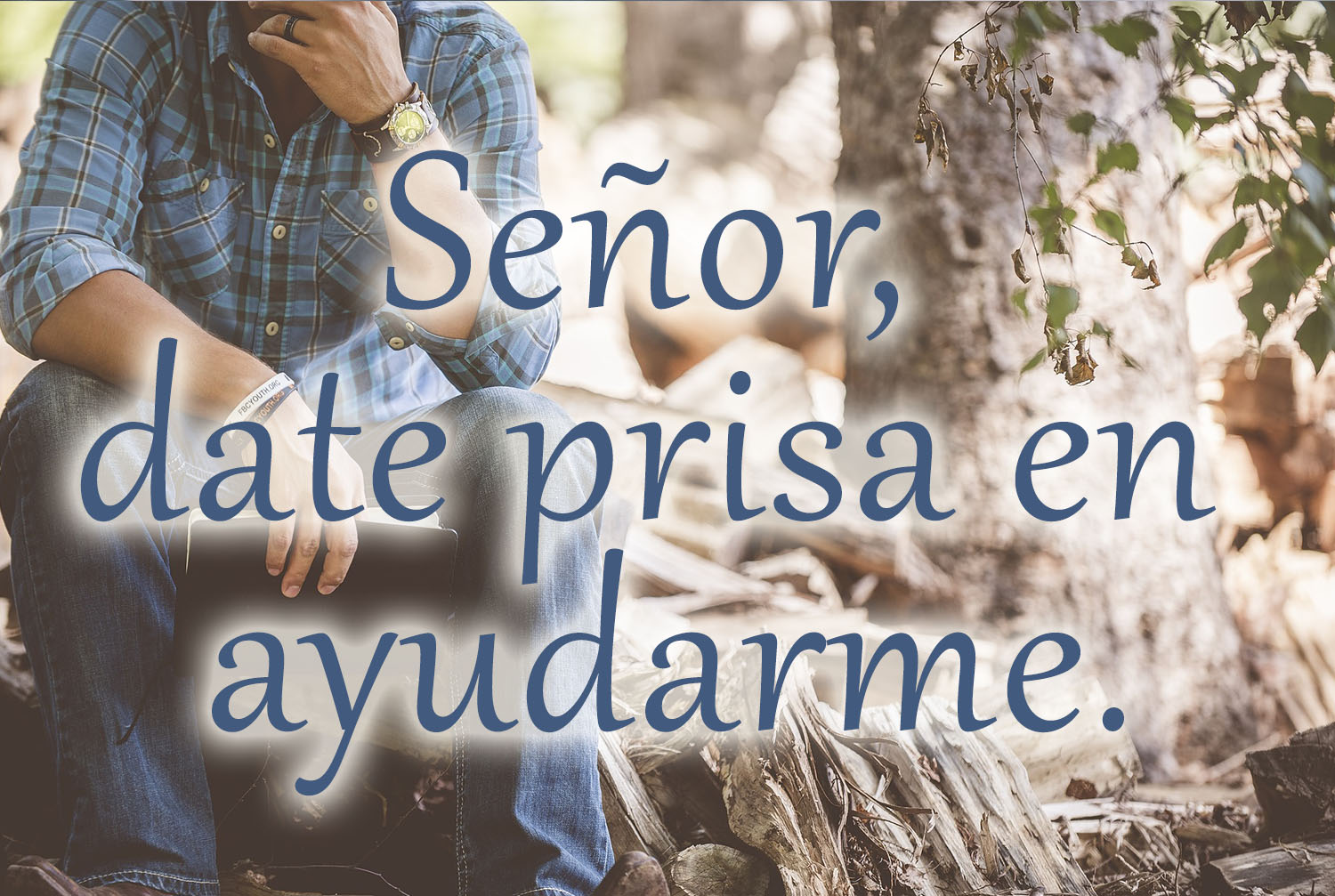 Ordinary Time - Week 20 - Response - Spanish - V2