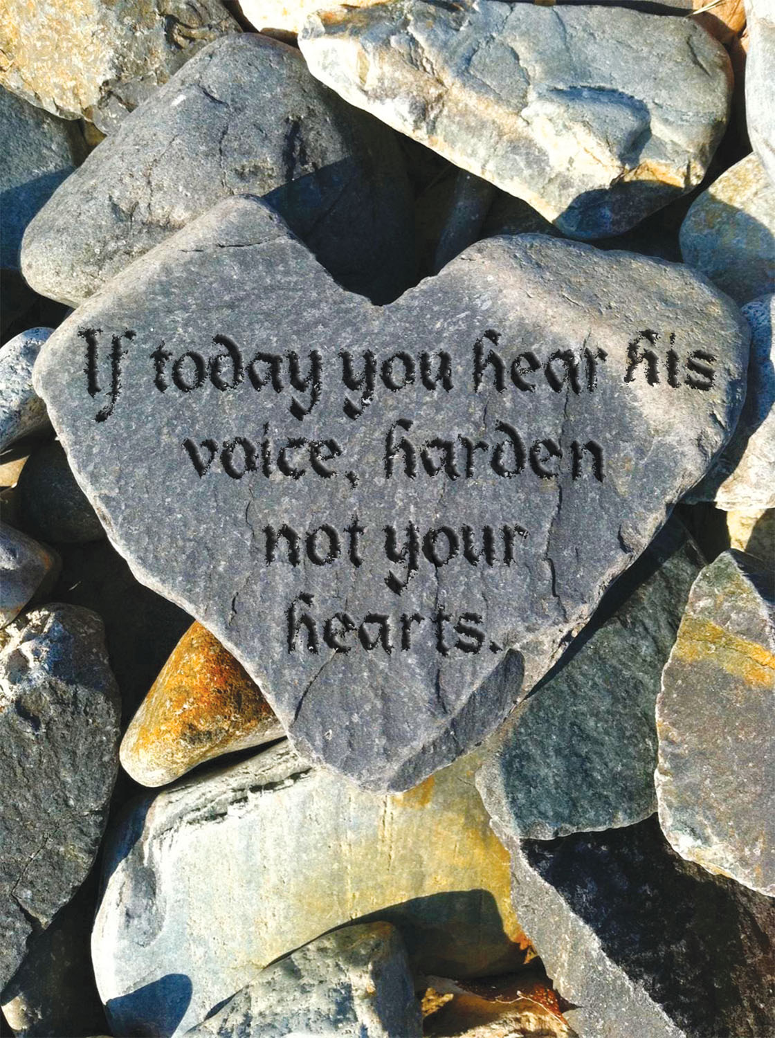 Ordinary Time - Week 27 - Response - English - V2