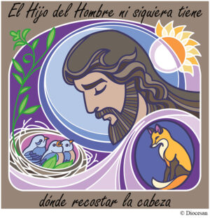 Ordinary Time - Thirteenth Sunday - Spanish