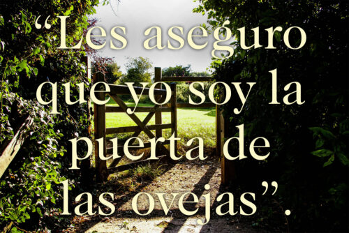 Easter - Week 4 - Gospel - Spanish - V2