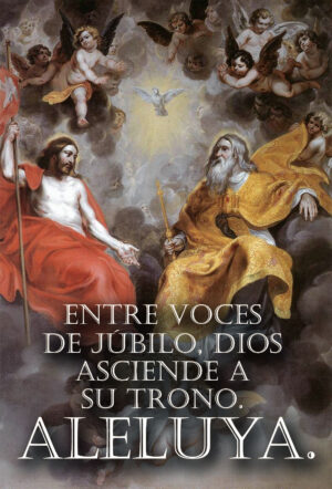 Ascension - Response - Spanish - V2