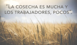 Ordinary Time - Week 11 - Gospel - Spanish - V2