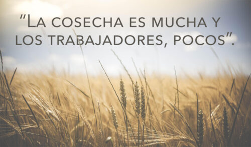 Ordinary Time - Week 11 - Gospel - Spanish - V2
