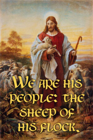 Ordinary Time - Week 11 - Response - English - V2