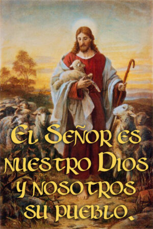 Ordinary Time - Week 11 - Response - Spanish - V2