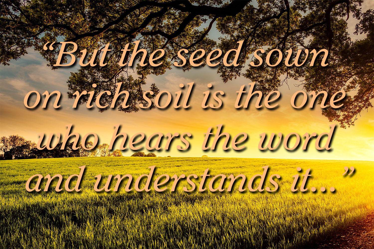 Ordinary Time - Week 15 - Gospel - English - V2 1 Ordinary Time - Week 15 - Gospel - English - V2