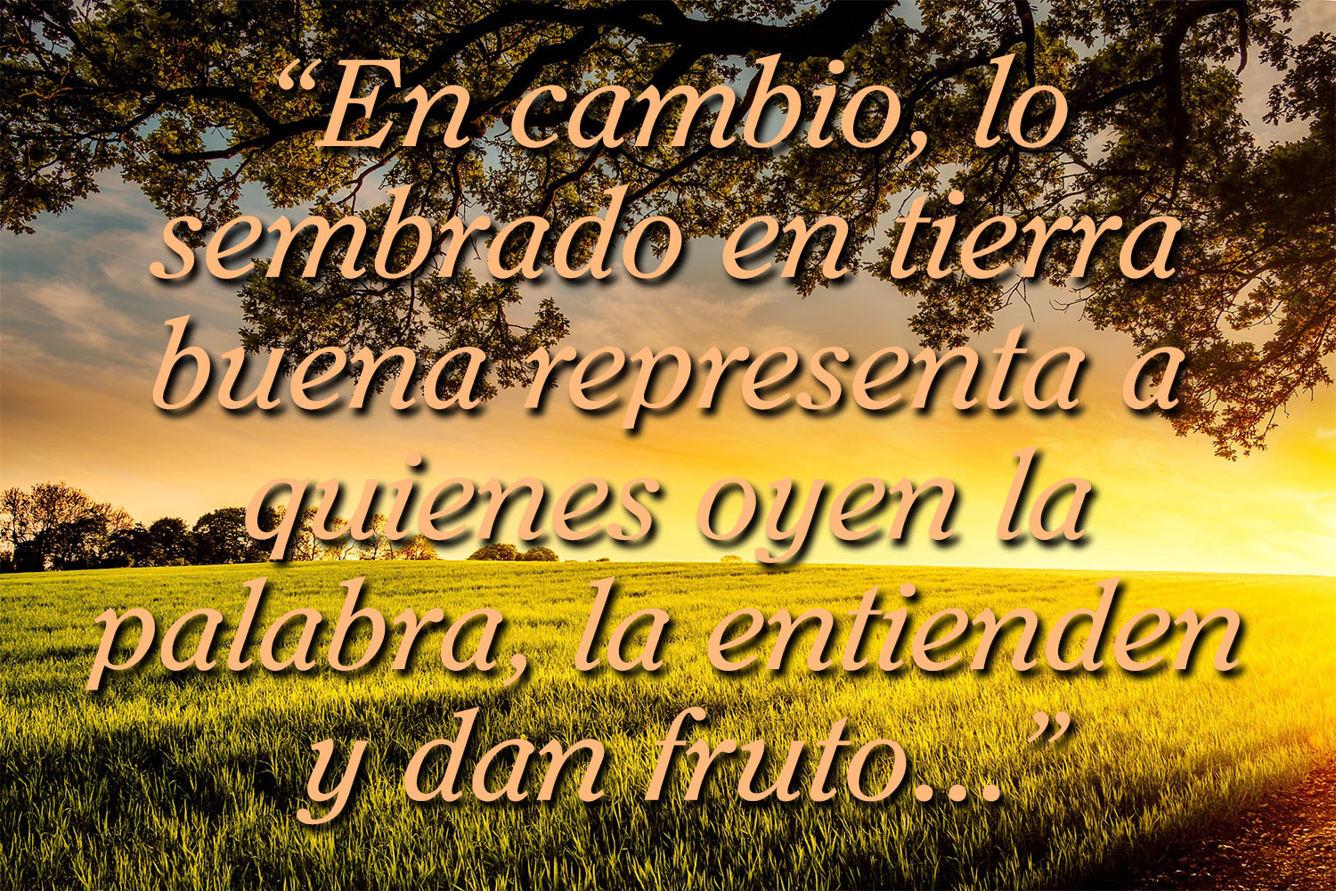 Ordinary Time - Week 15 - Gospel - Spanish - V2 1 Ordinary Time - Week 15 - Gospel - Spanish - V2