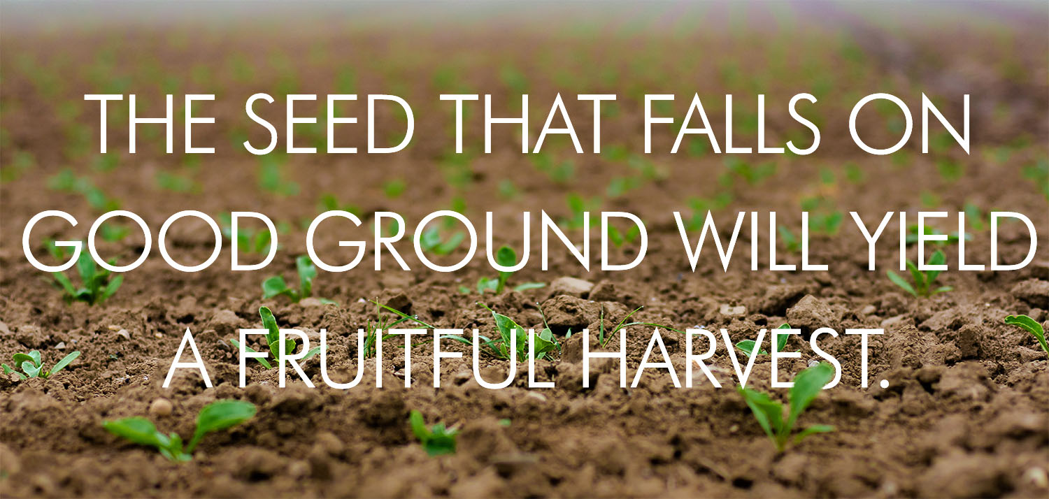 Ordinary Time - Week 15 - Response - English - V2 1 Ordinary Time - Week 15 - Response - English - V2