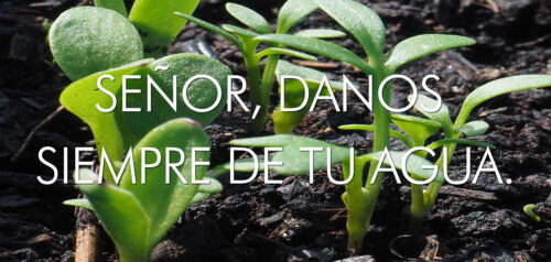 Ordinary Time - Week 15 - Response - Spanish - V2