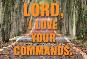 Ordinary Time - Week 17 - Response - English - V2
