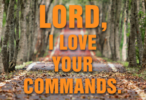 Ordinary Time - Week 17 - Response - English - V2