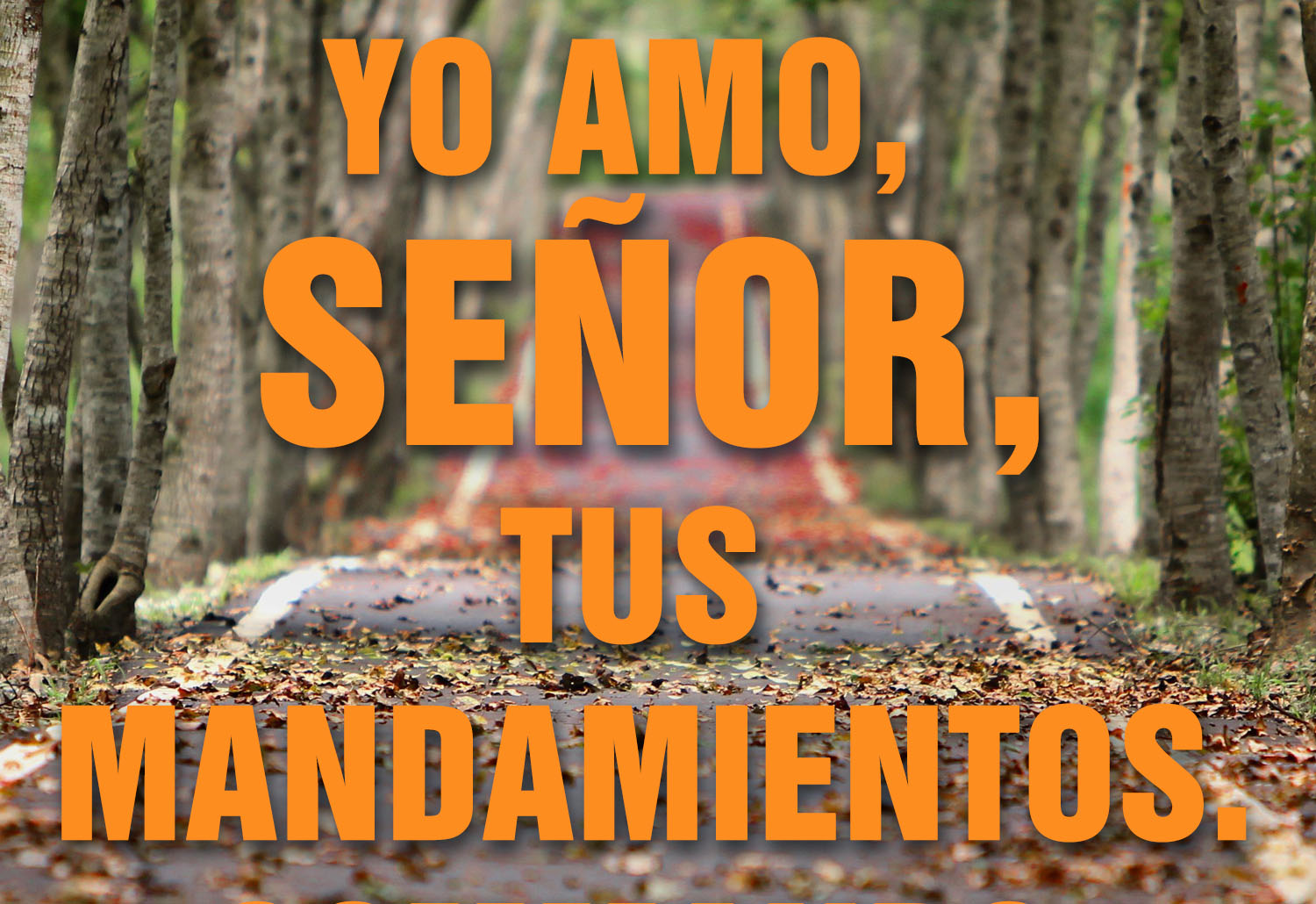 Ordinary Time - Week 17 - Response - Spanish - V2