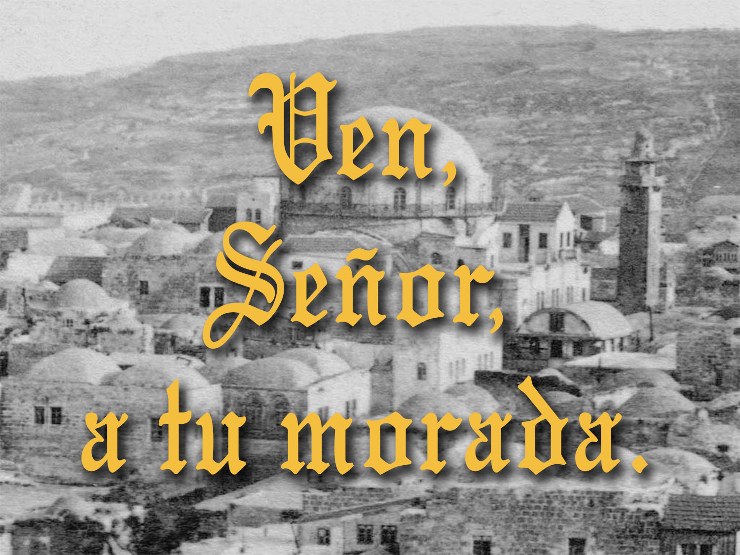 Assumption of the Blessed Virgin Mary - Vigil - Response - Spanish