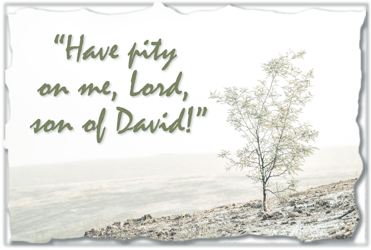 Ordinary Time - Week 20 - Gospel - English - V2