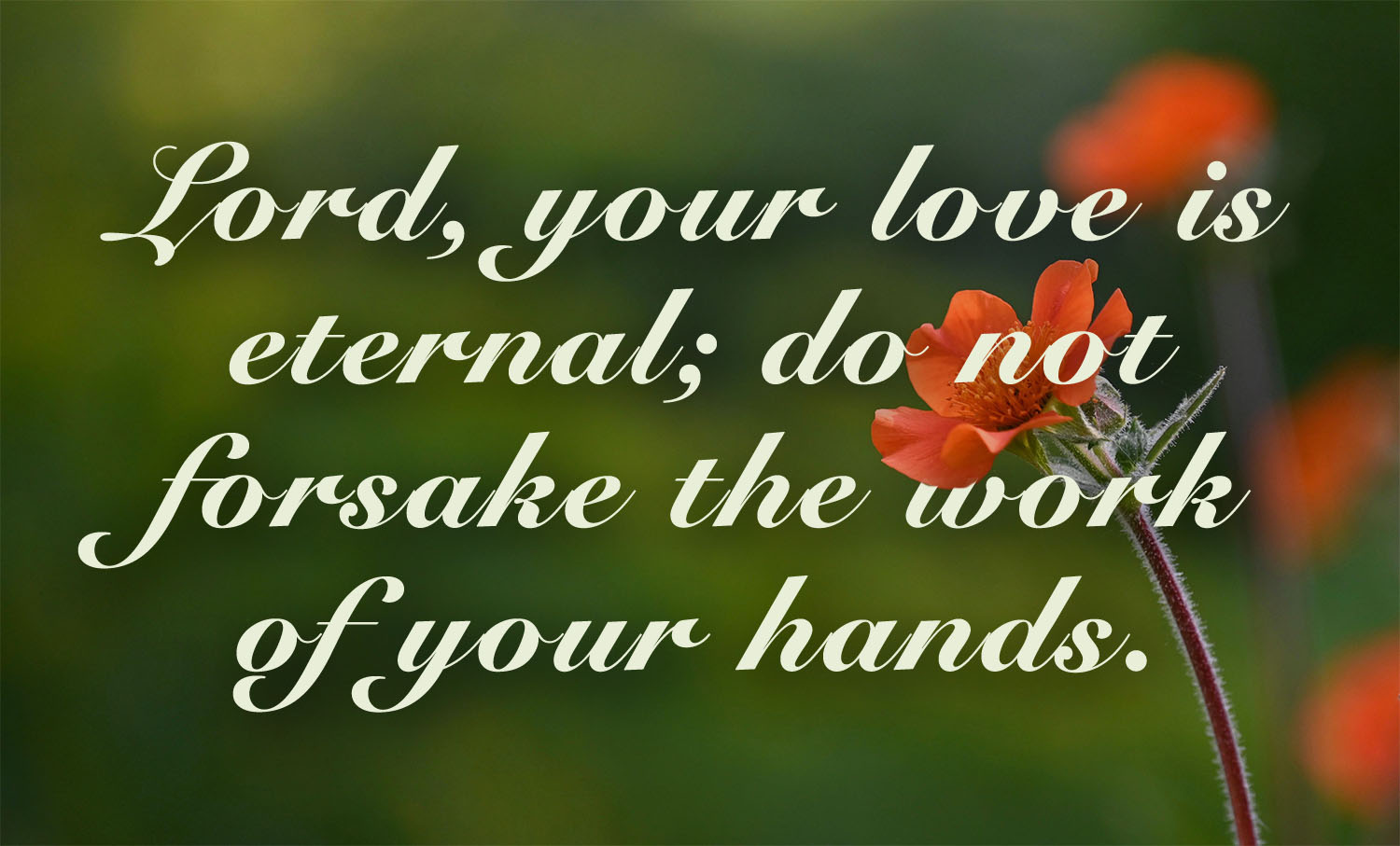 Ordinary Time - Week 21 - Response - English - V2 1 Ordinary Time - Week 21 - Response - English - V2