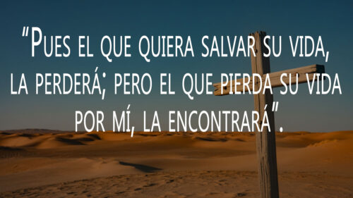 Ordinary Time - Week 22 - Gospel - Spanish