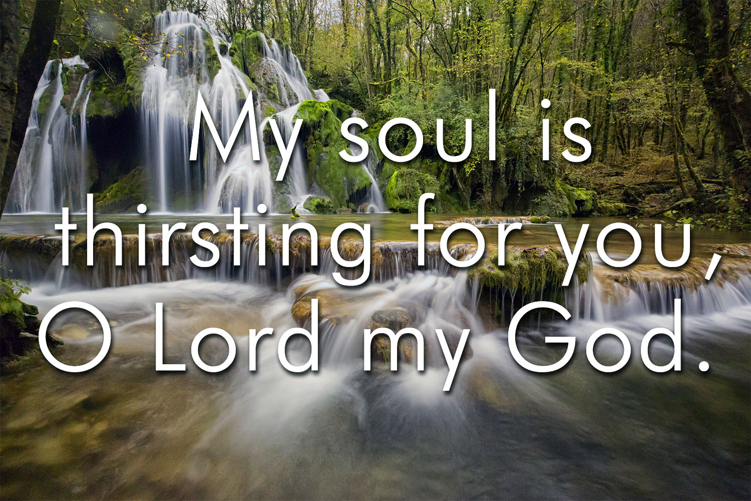 Ordinary Time - Week 22 - Response - English - V2