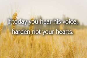 Ordinary Time - Week 23 - Response - English