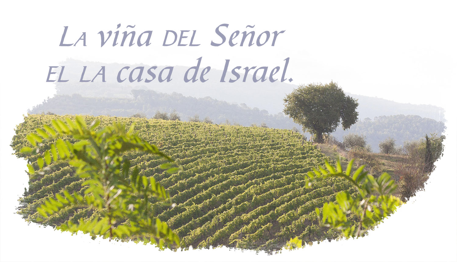 Ordinary Time - Week 27 - Response - Spanish - V2