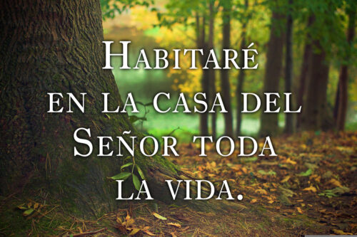 Ordinary Time - Week 28 - Response - Spanish