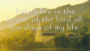 Ordinary Time - Week 28 - Response - English - V2