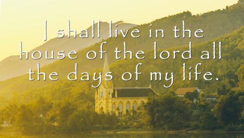 Ordinary Time - Week 28 - Response - English - V2